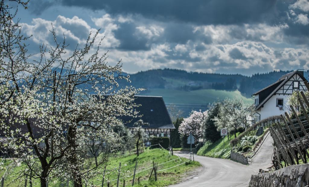 Landhotel Rebstock Oberkirch  Εξωτερικό φωτογραφία